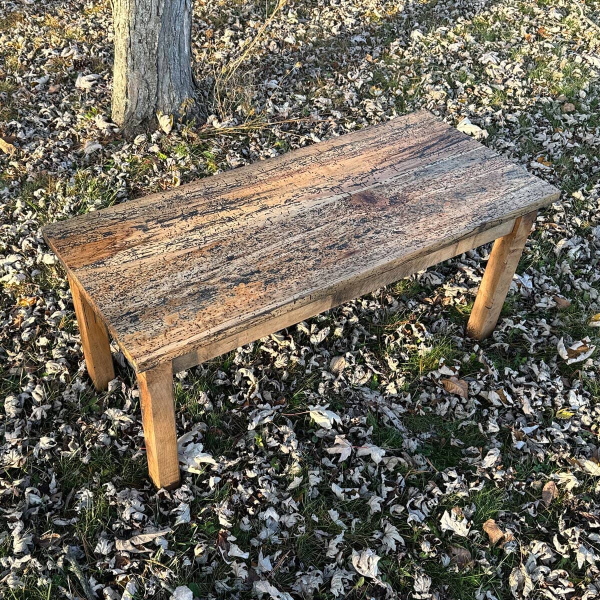 Rustic barnboard bench sitting in autumn leaves